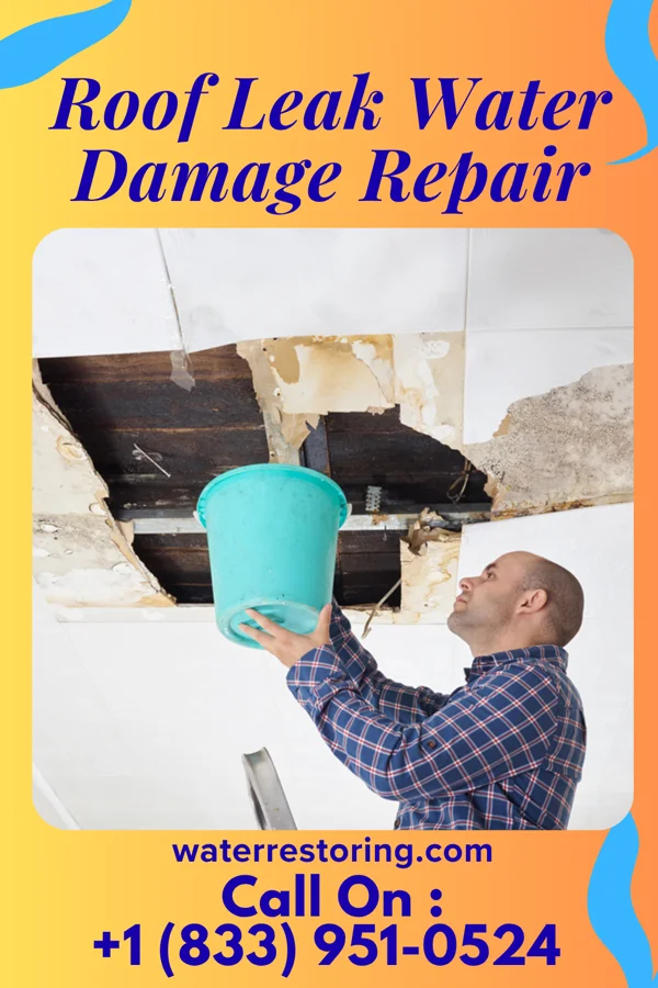 Roof Leak Water Damage Repair in Greenwood, MO